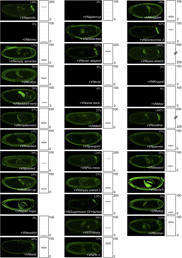 Figure 4—figure supplement 9.