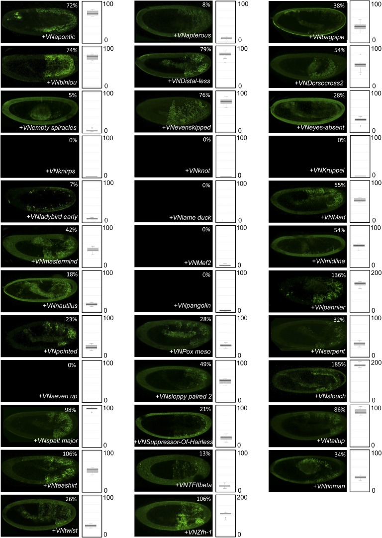 Figure 3—figure supplement 1.