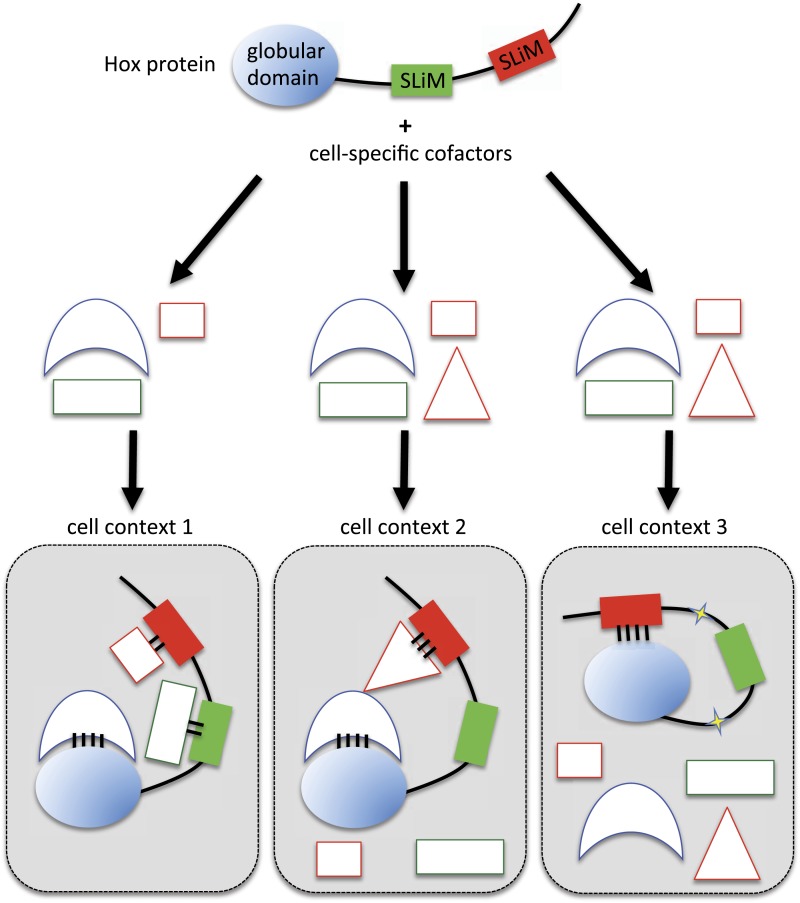 Figure 10.