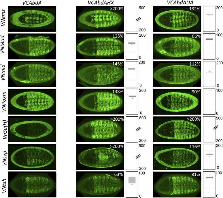 Figure 7—figure supplement 2.