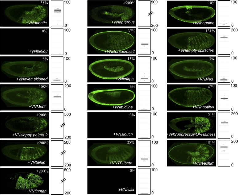 Figure 6—figure supplement 1.