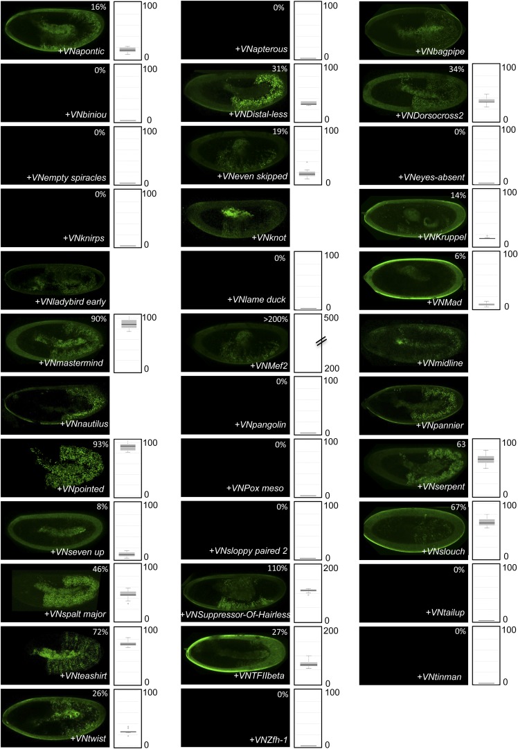 Figure 4—figure supplement 6.