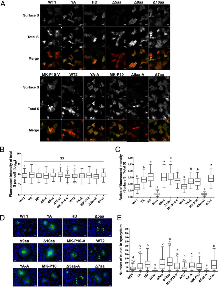 FIG 3