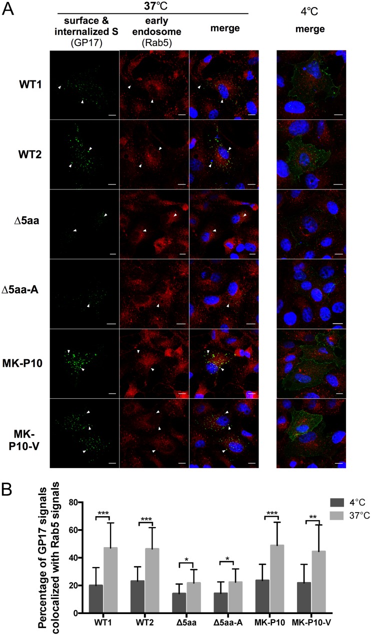 FIG 6