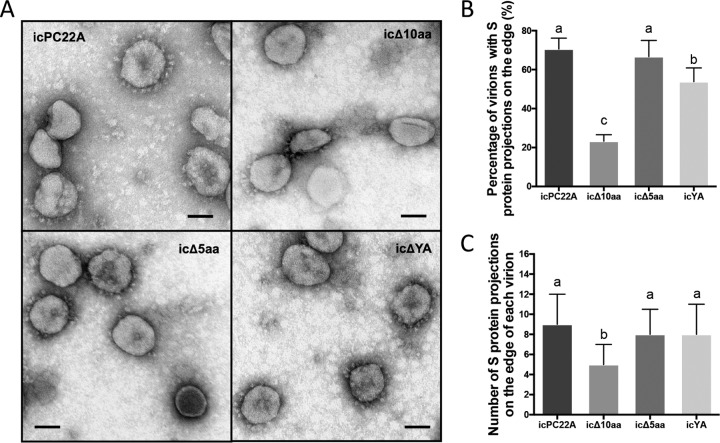 FIG 9