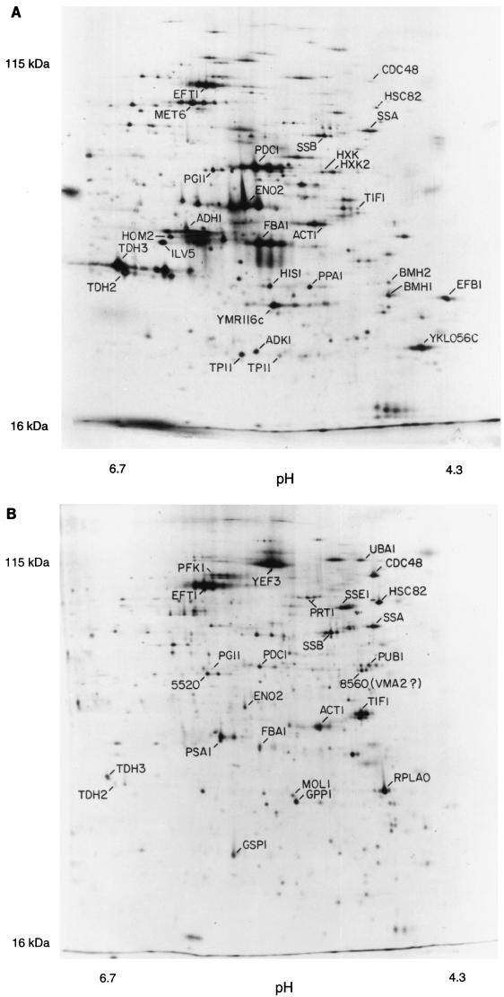 FIG. 6