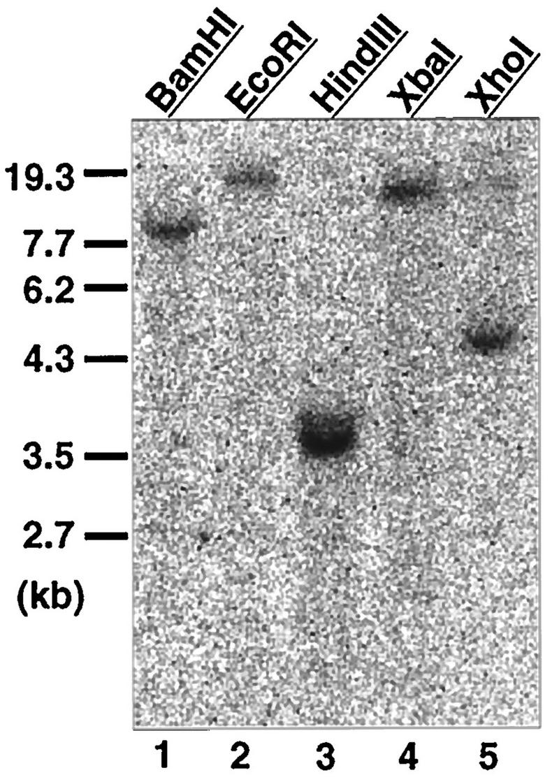 FIG. 8