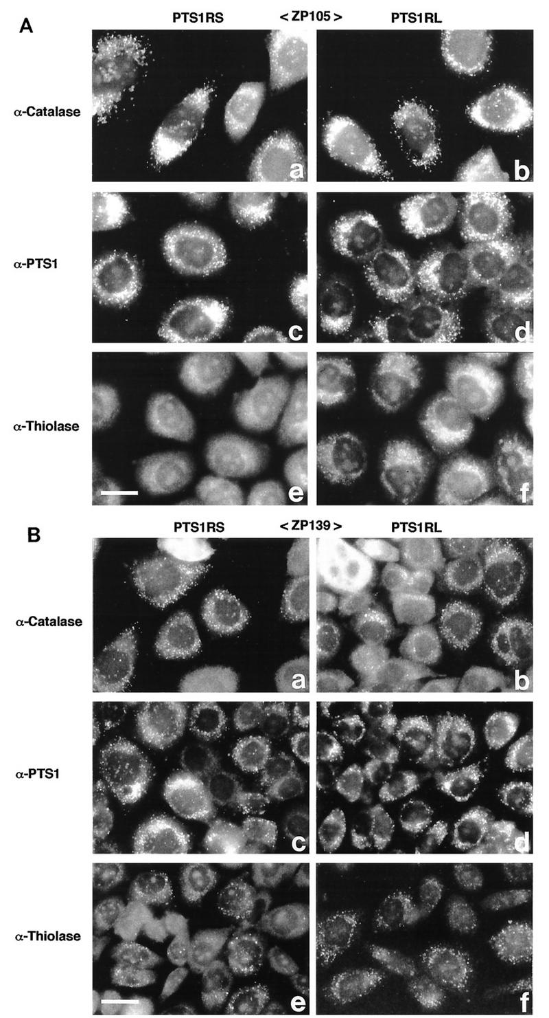 FIG. 11