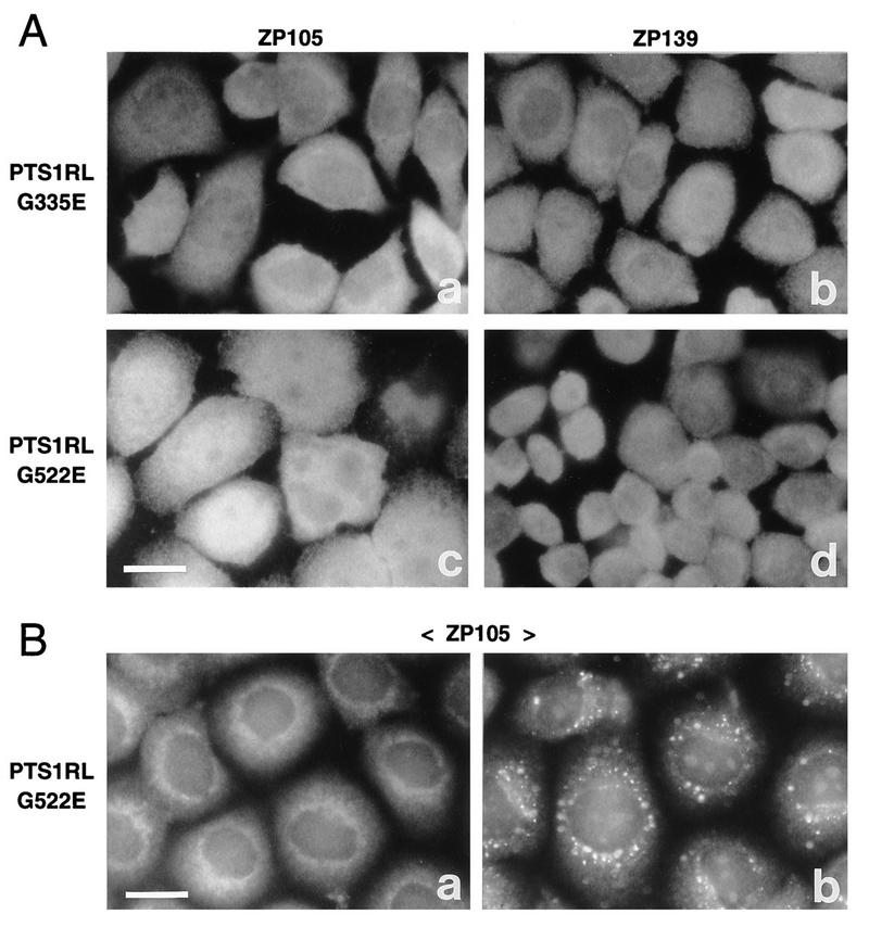 FIG. 12