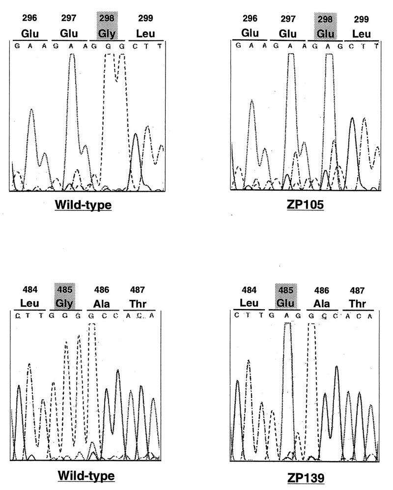 FIG. 10