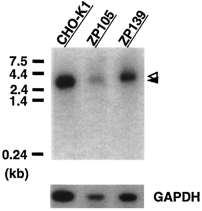 FIG. 9