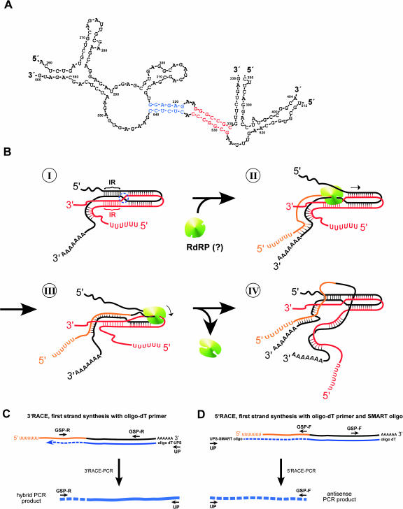 FIGURE 6.