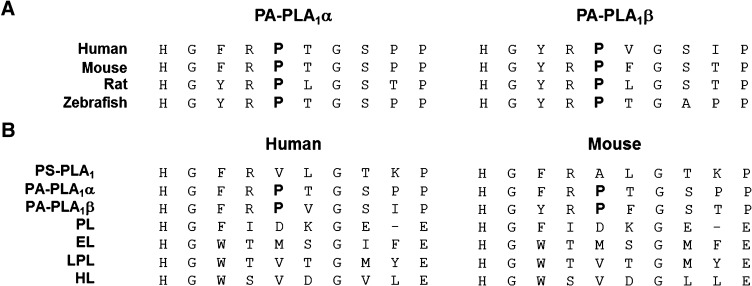 Fig. 9.