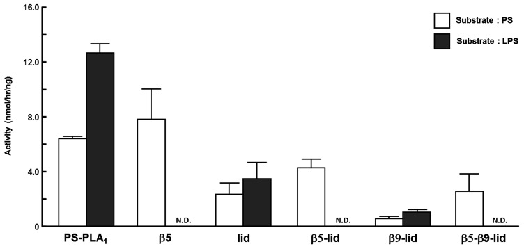 Fig. 5.