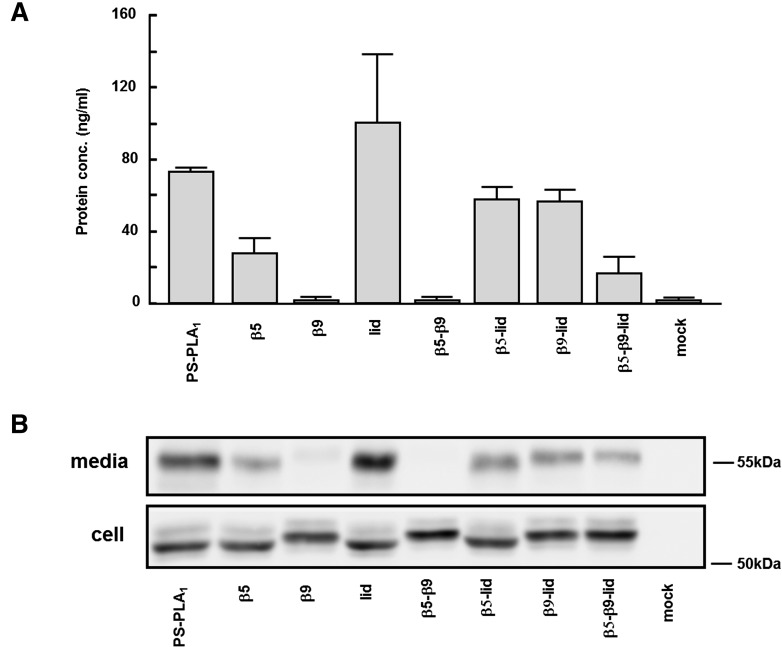 Fig. 2.