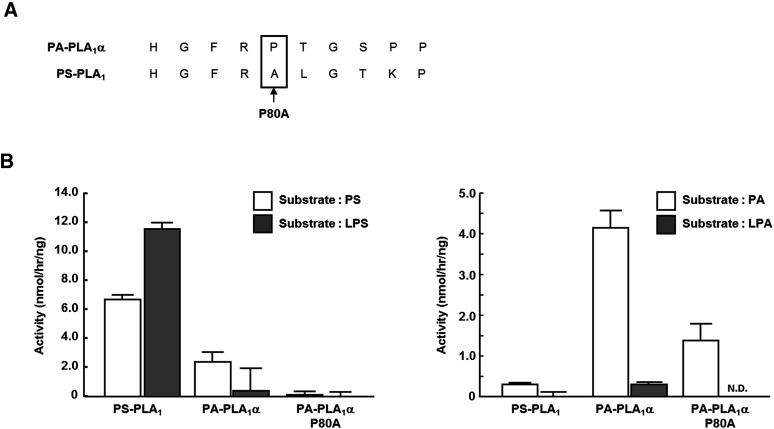 Fig. 8.