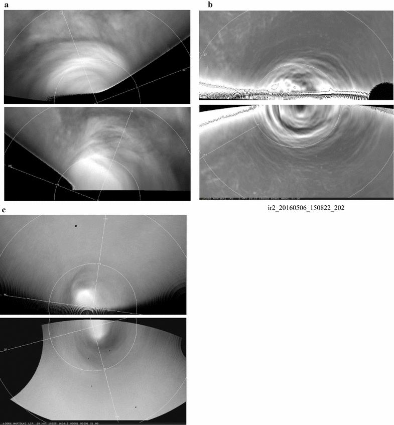 Fig. 20