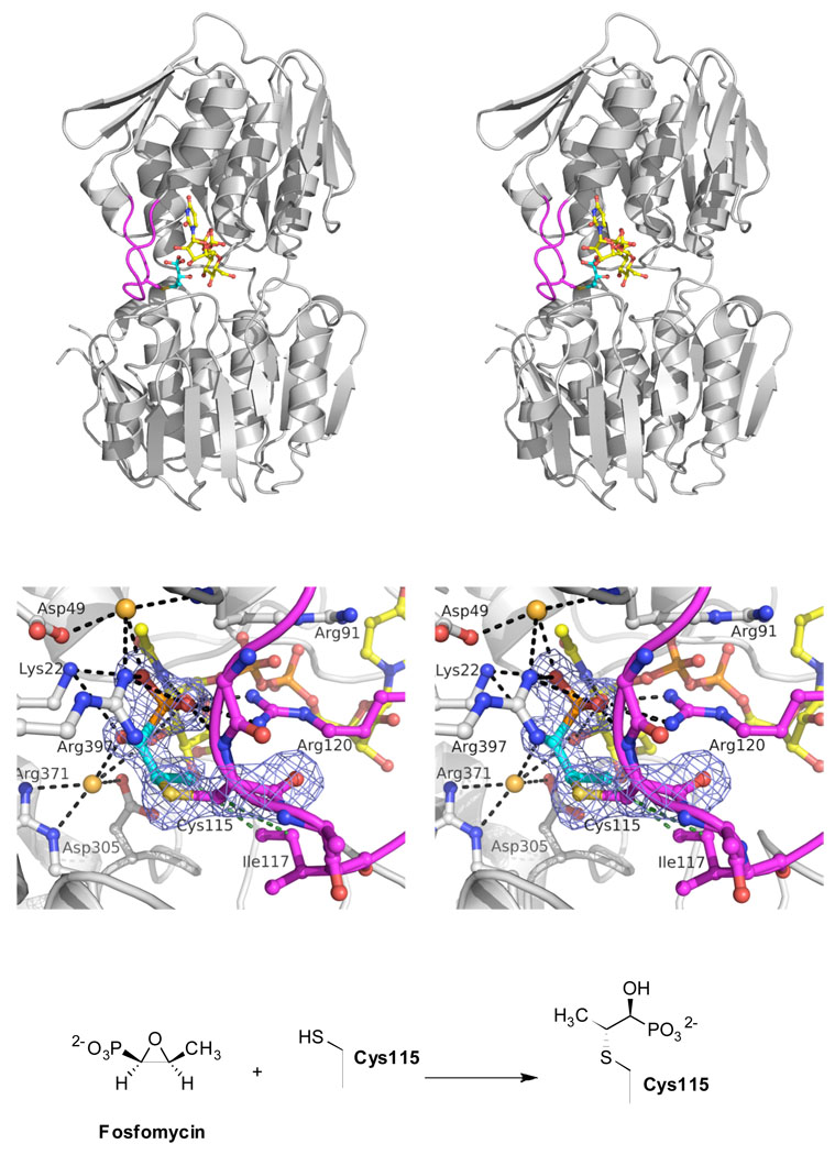 FIGURE 4