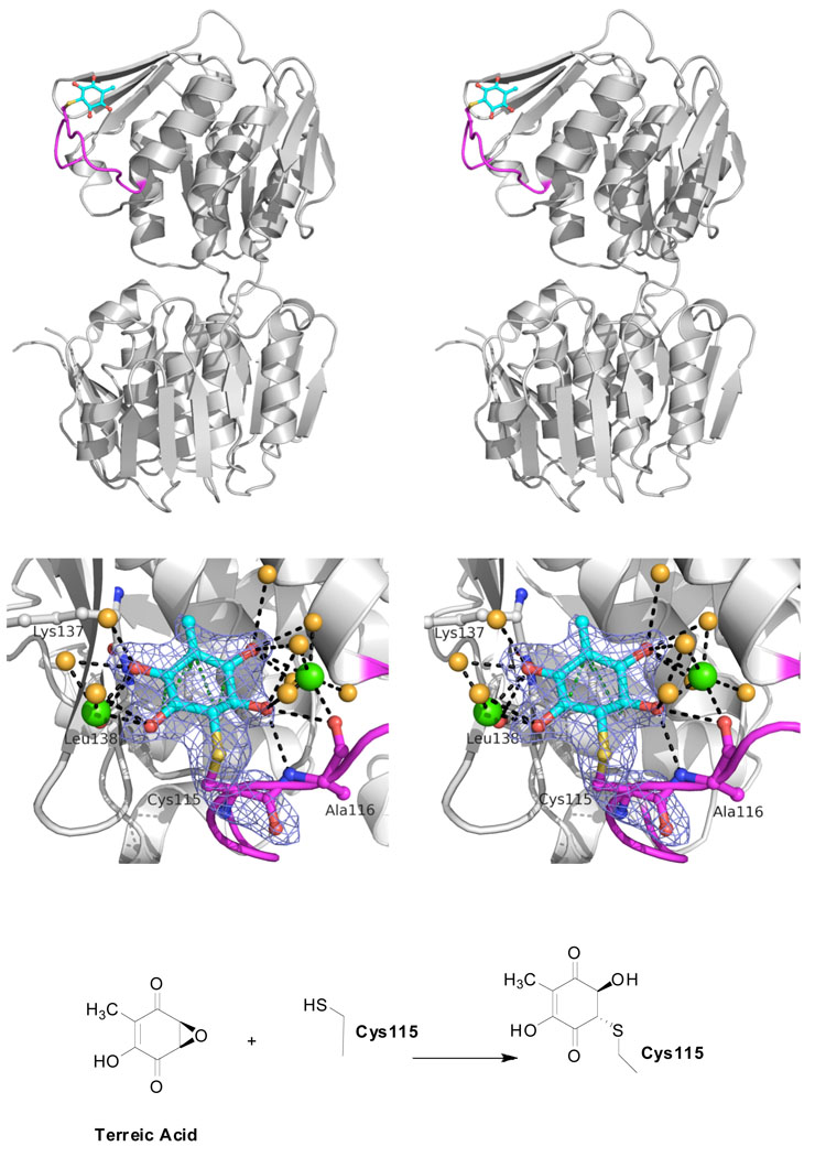 FIGURE 3