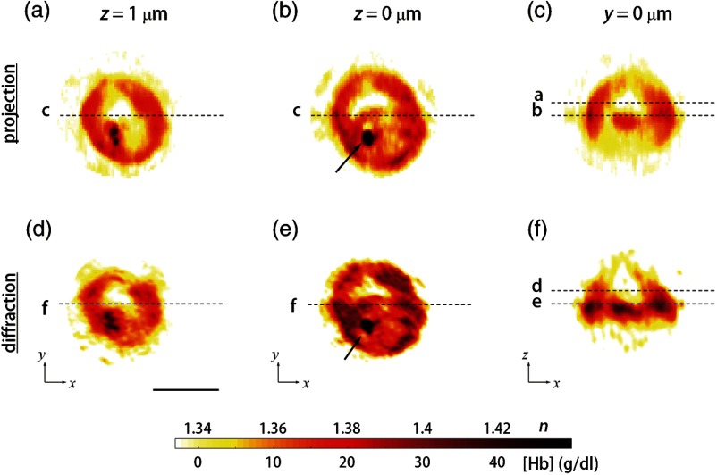 Fig. 3