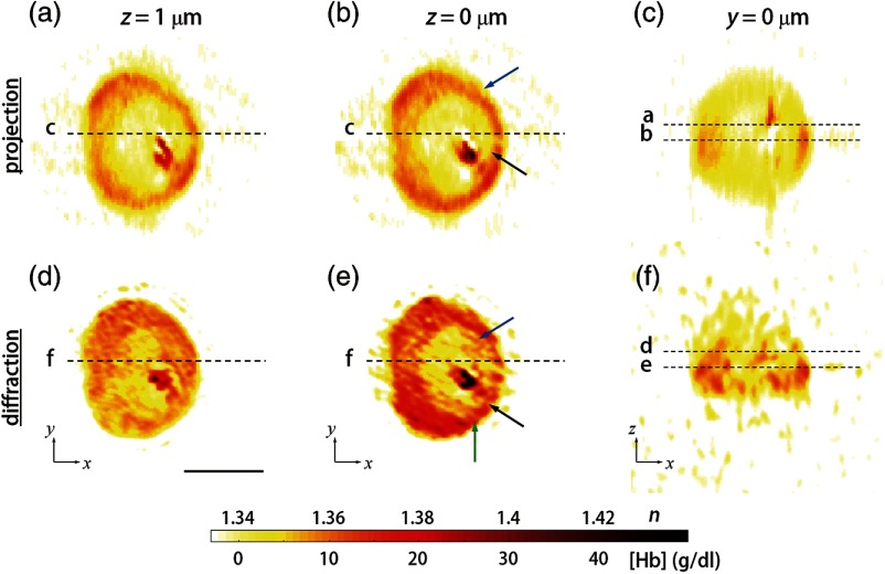 Fig. 4