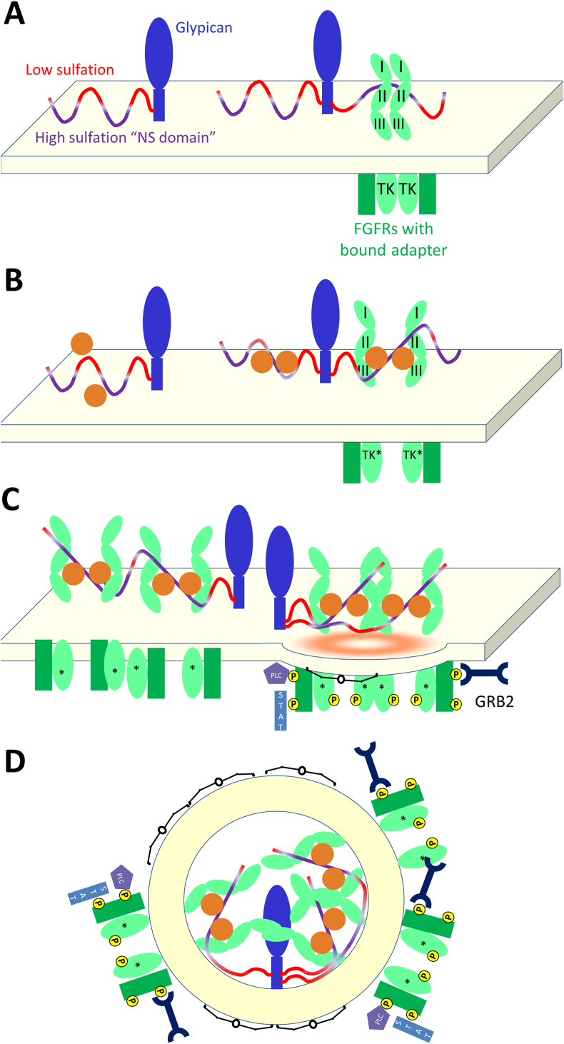 Fig. 4