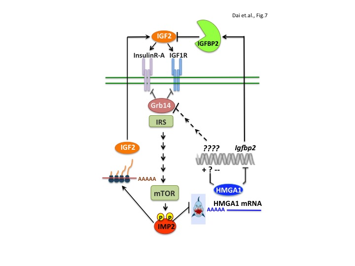 Figure 7.