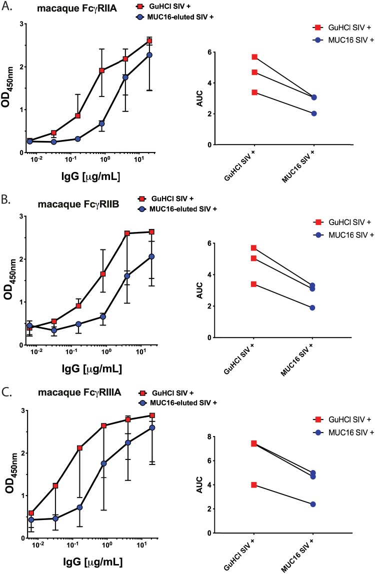 FIG 2