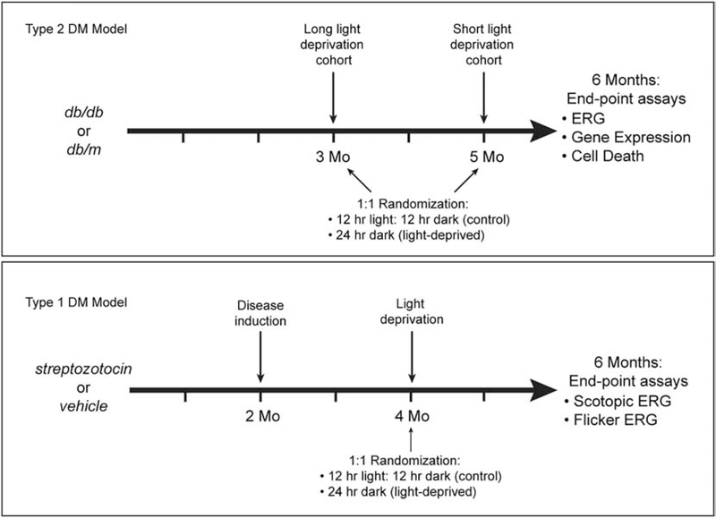 Figure 1: