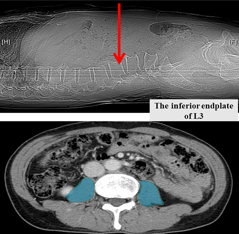 Figure 1