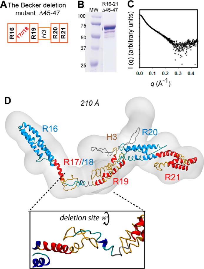 Figure 3.