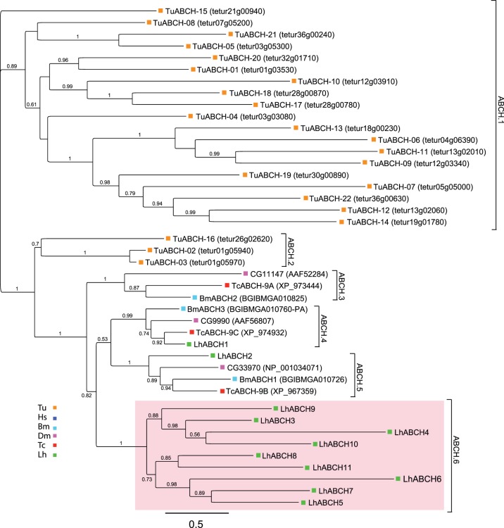 Figure 6