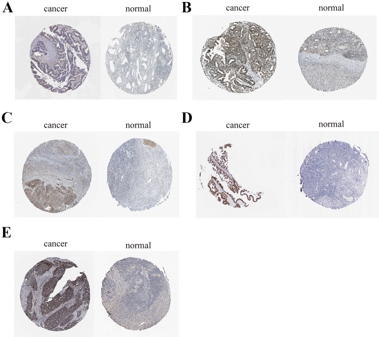 Figure 13