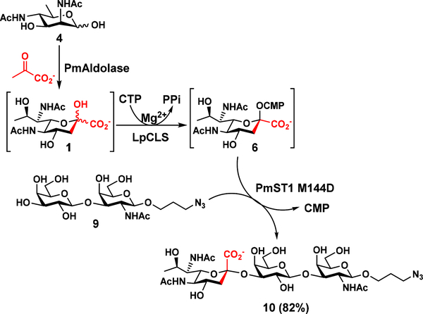 Scheme 3