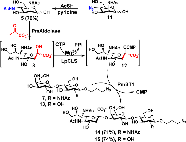 Scheme 4