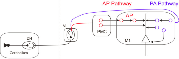 Fig. 2