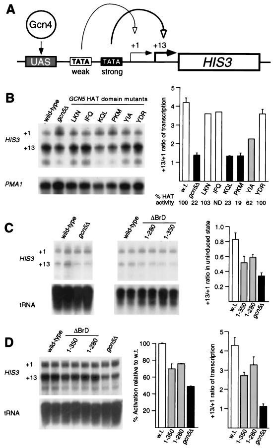 FIG. 6