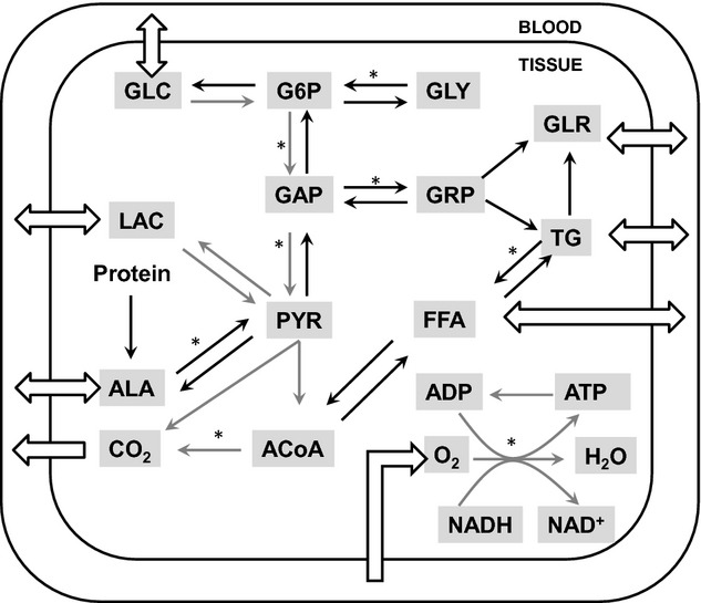 Figure 2.