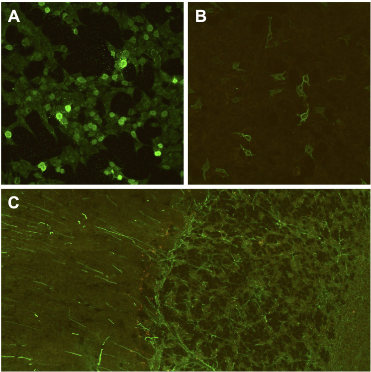 Figure 4