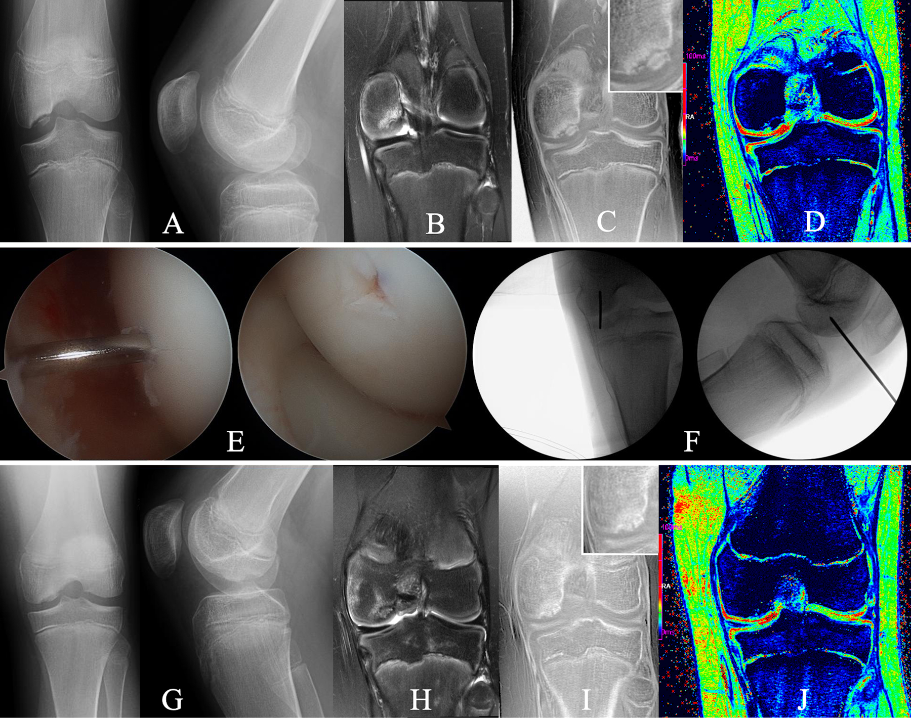 Fig. 8