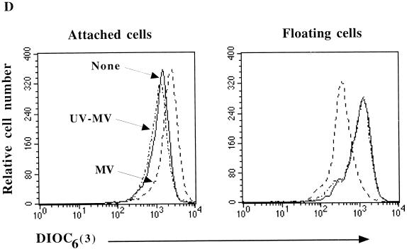 FIG. 6