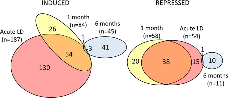 FIG 2