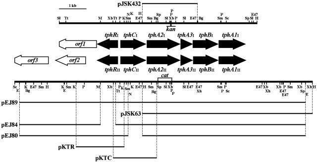 FIG. 2.