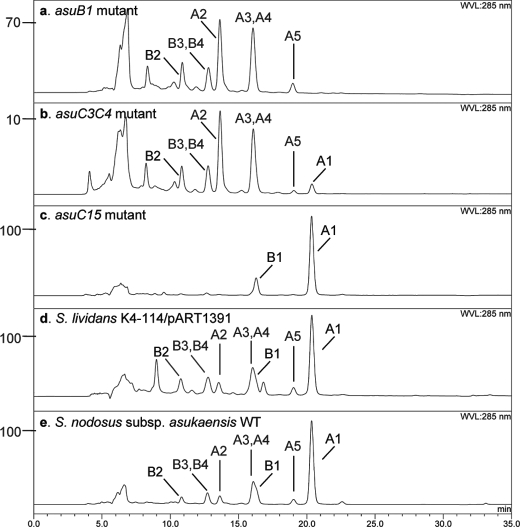 FIGURE 4.