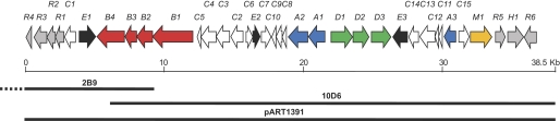 FIGURE 2.