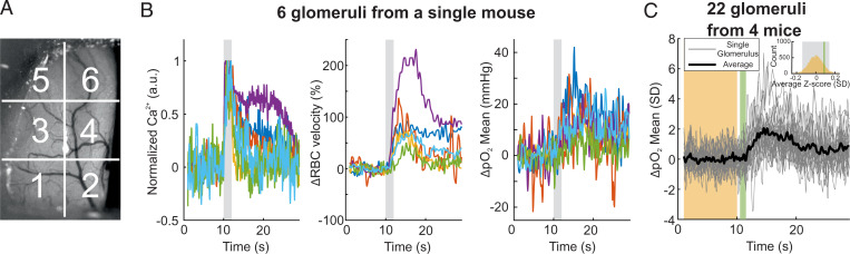 Fig. 3.