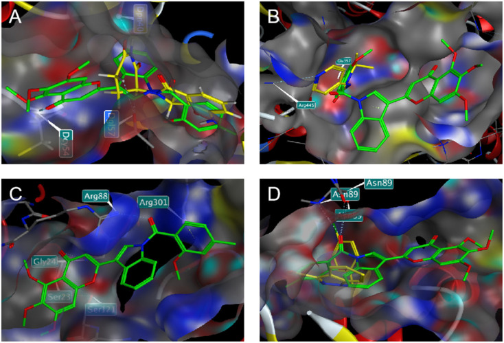 Fig. 10