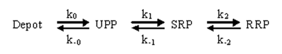 graphic file with name JCB_201001164R_Scheme1.jpg