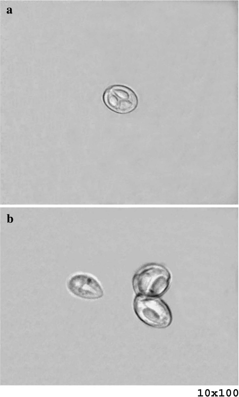 Fig. 5