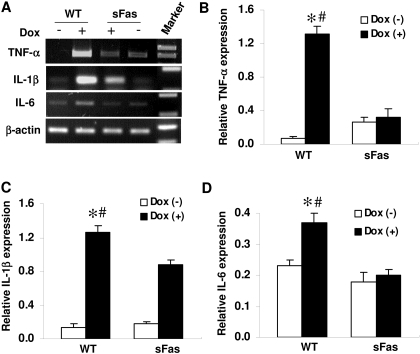 Fig. 8.